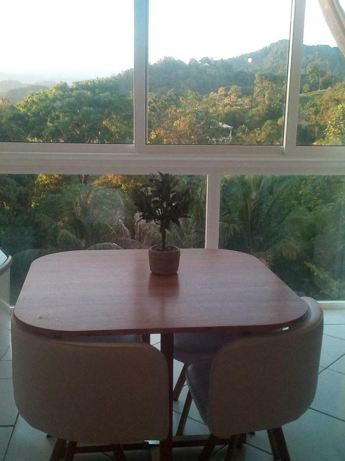 Apartamento A la montagne Le Morne-Vert Exterior foto